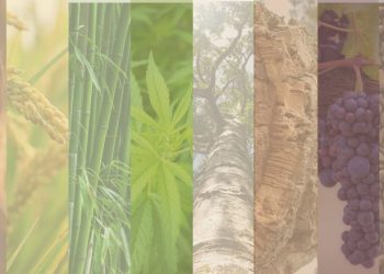 Mixcycling, arredo da scarti agro-industriali