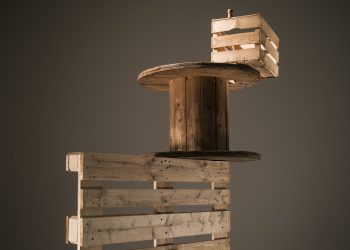 Legno di recupero, risorsa importante per filiera e Paese