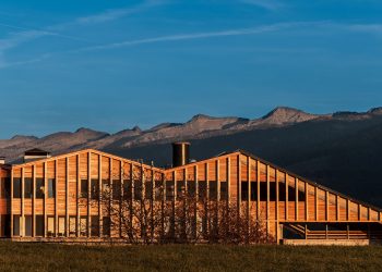 Bio Energia Fiemme, l’energia dagli scarti del legno