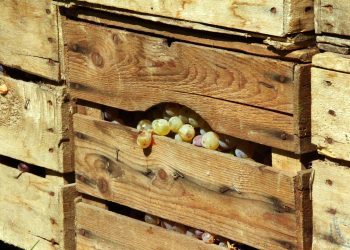 Ri-forma, ripensare il design per un’economia circolare