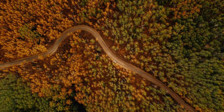 CDG è la prima società “carbon neutral” di servizi del design