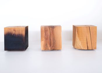 Il design è “la seconda vita” degli alberi abbattuti dal climate change