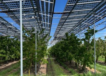 Agrivoltaico e tutela del paesaggio, una convivenza possibile