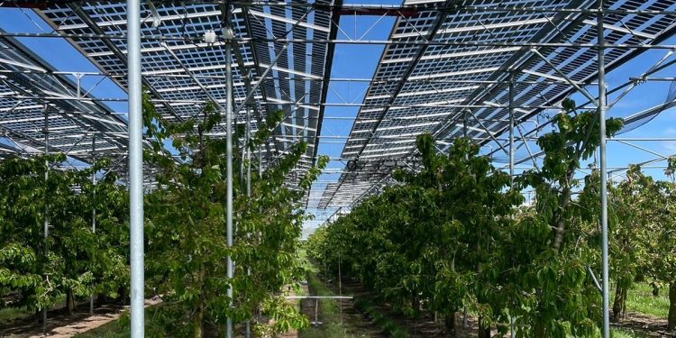 Agrivoltaico e tutela del paesaggio, una convivenza possibile