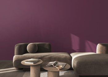 Sigma Coating svela Amethyst Shadow: il colore dell’anno 2025