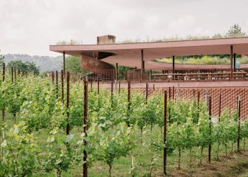Cantine da premio, dove si incontrano territorio, vino e architettura