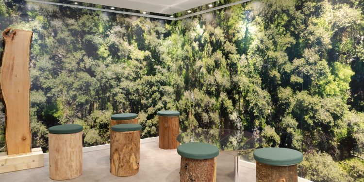 A Trieste nasce lo spazio espositivo Foresta in Città