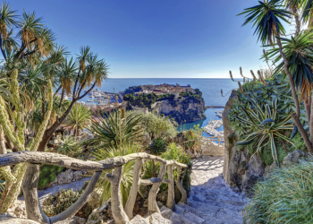 Riapre il Giardino Esotico di Monaco con la sua bellezza senza tempo