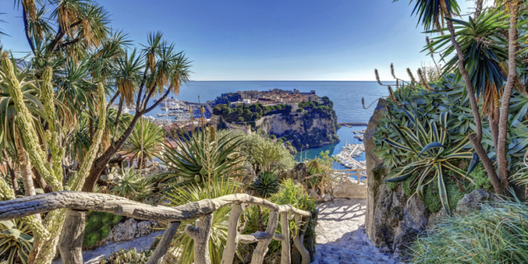 Riapre il Giardino Esotico di Monaco con la sua bellezza senza tempo